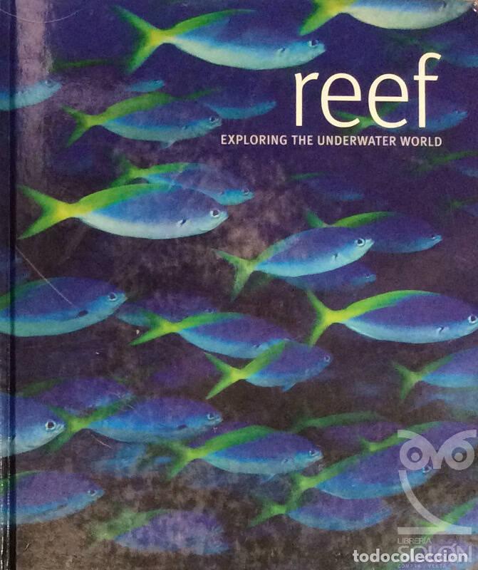 Libros: Reef: Exploring The Underwater World - Scubazoo - Foto 1