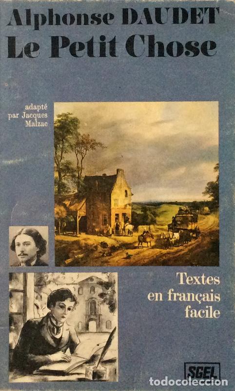 Libros: Le petit chose - Alphonse Daudet - Foto 1
