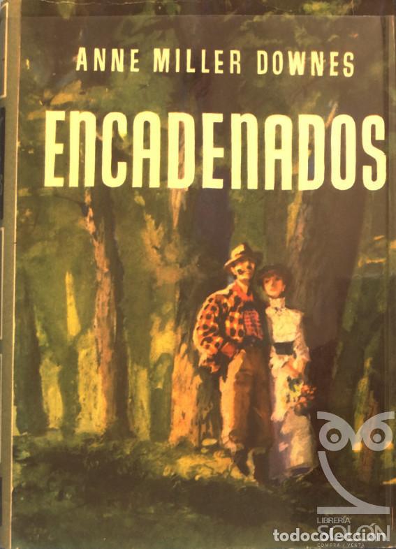 Libros: Encadenados - Anne Miller Downes - Foto 1