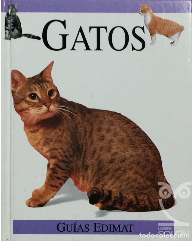 Libros: Gatos - Quantum Book - Foto 1
