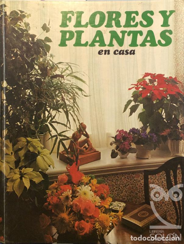 Libros: Flores y plantas en casa - Violet Stevenson - Foto 1