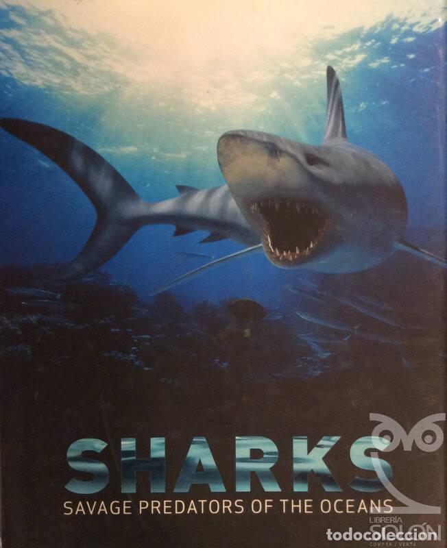 Libros: Sharks - John McIntyre - Foto 1