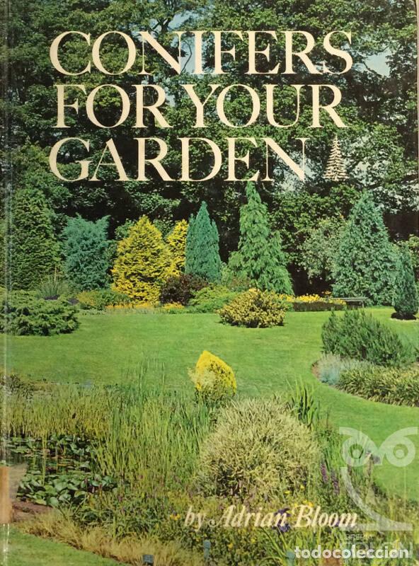Libros: Conifers For Your Gardens (Floraprint) - Adrian Bloom - Foto 1