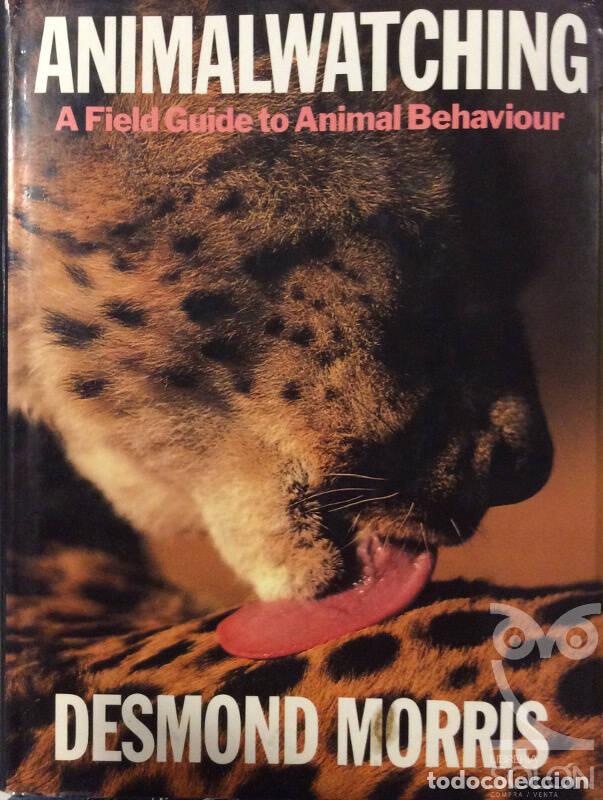 Libros: Animalwatching - Desmond Morris - Foto 1