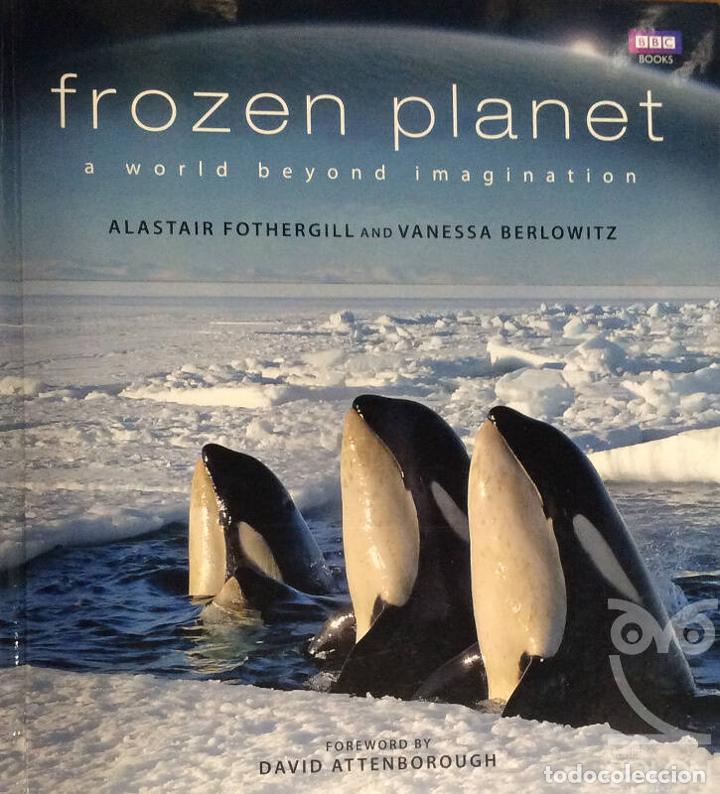 Libros: Frozen Planet - Fothergill / Berlowitz - Foto 1