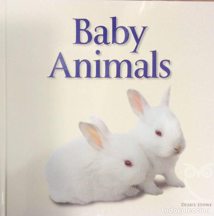 Libros: Baby Animals - Debbie Stowe