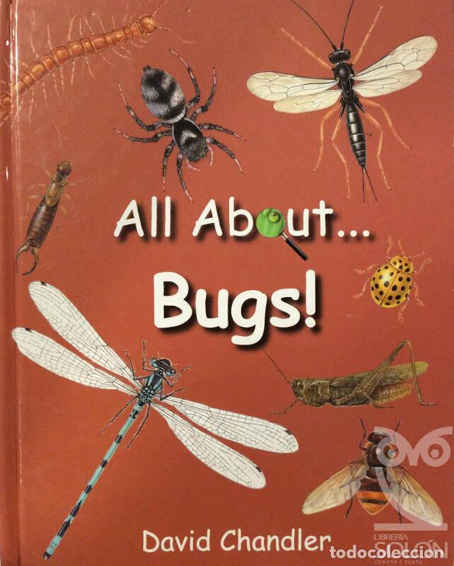 Libros: All About Bugs - David Chandler - Foto 1