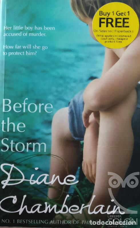 Libros: Before the storm - Diane Chamberlain - Foto 1