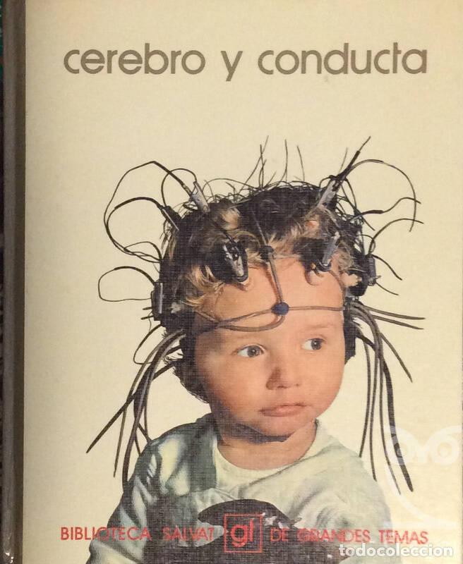 Libros: Cerebro y conducta - Aa. Vv. - Foto 1