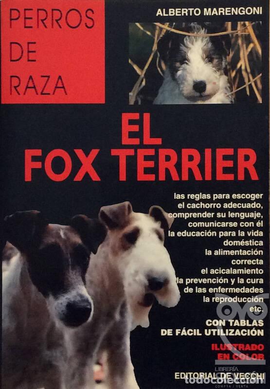 Libros: El fox terrier - Alberto Marengoni - Foto 1