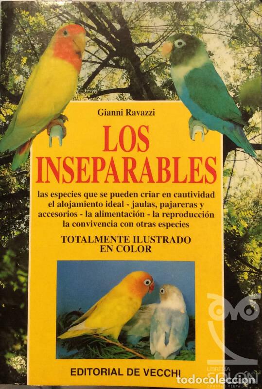 Libros: Los inseparables - Gianni Ravazzi - Foto 1