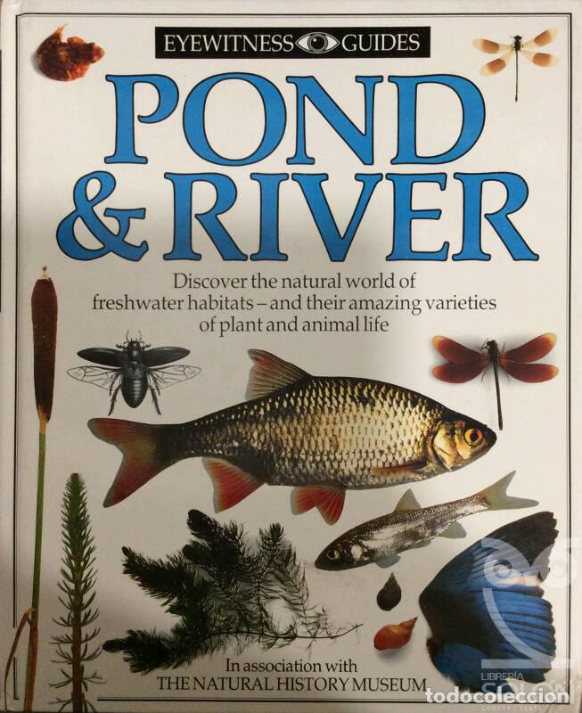 Libros: Pond And River (Eyewitness Guides) - Steve Parker - Foto 1