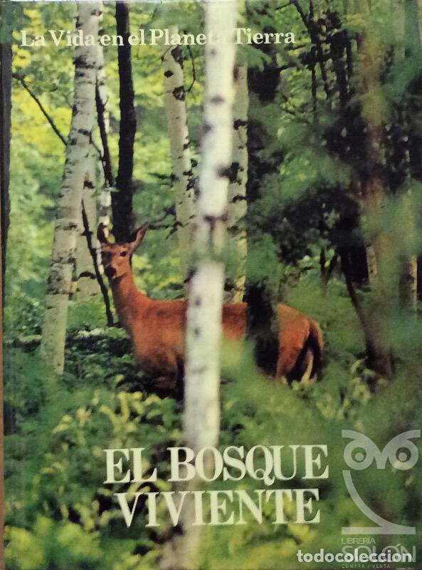Libros: La vida en planeta tierra - El bosque viviente - Aa. Vv. - Foto 1