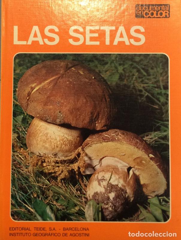 Libros: Las setas - Uberto Tosco / AnnaLaura Fanelli - Foto 1