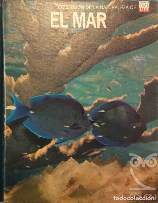 Libros: El mar - Leonard Engel / Aa. Vv. - Foto 1