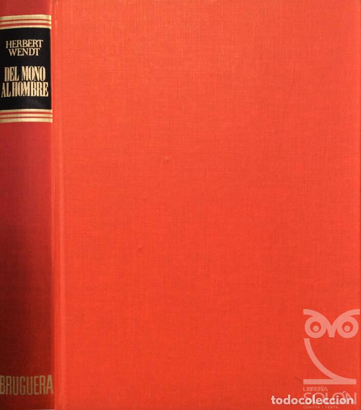 Libros: Del mono al hombre - Herbert Wendt - Foto 1