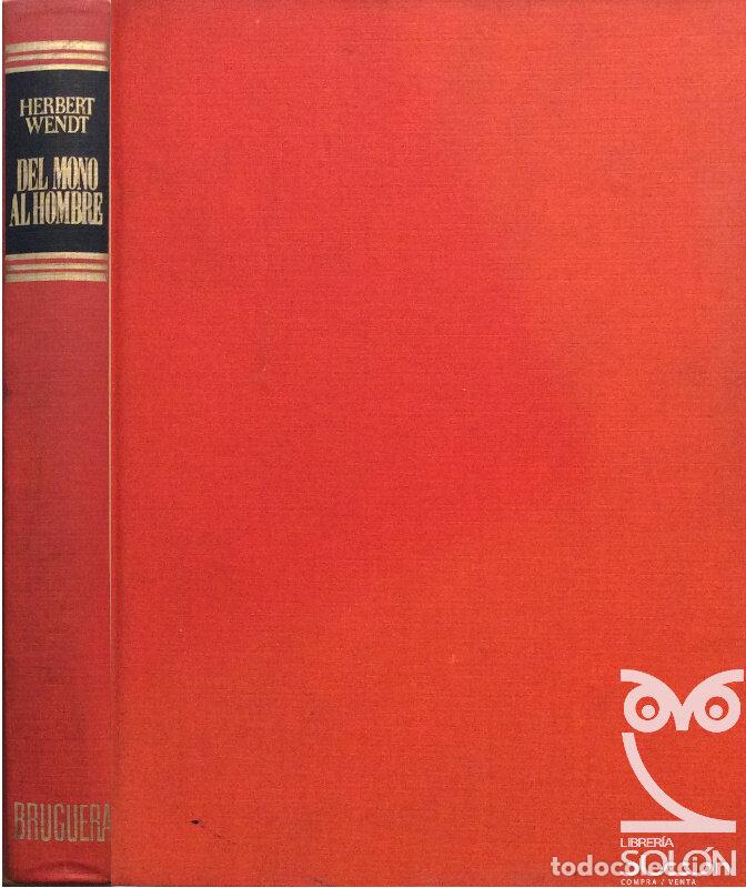 Libros: Del mono al hombre - Herbert Wendt - Foto 1
