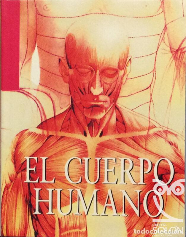 Libros: El cuerpo humano - Aa. Vv. - Foto 1