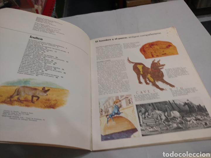 Libros: Los perros .Rex Marchante .Ed plaza & Janes - Foto 2