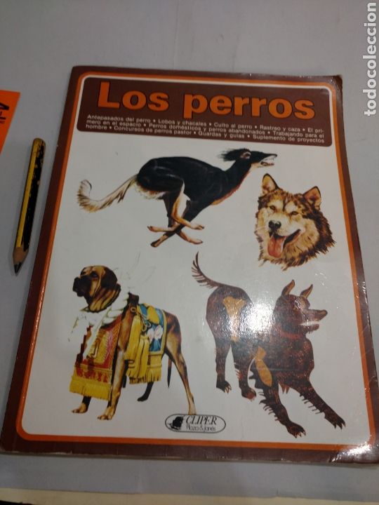 Libros: Los perros .Rex Marchante .Ed plaza & Janes - Foto 1