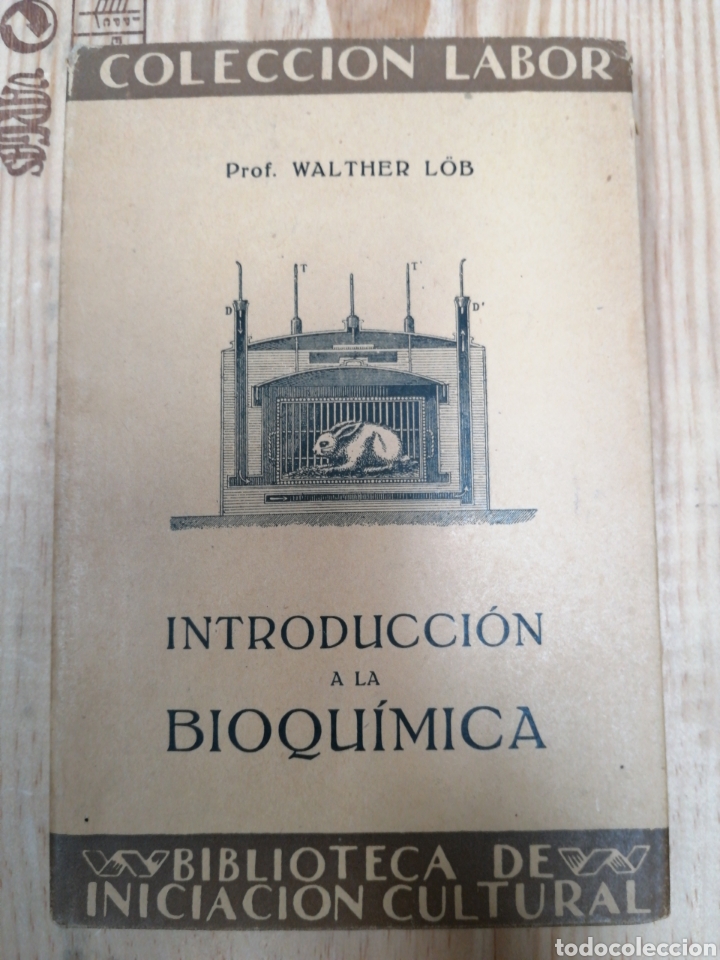 Libros: Introducci&oacute;n a la Bioqu&iacute;mica - L&ouml;b, Walthe - Foto 1
