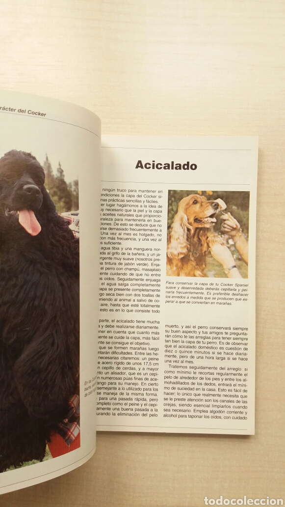 Libros: El Cocker Spaniel. Bart King. Hispanoeuropea, 1996. PERROS. - Foto 7