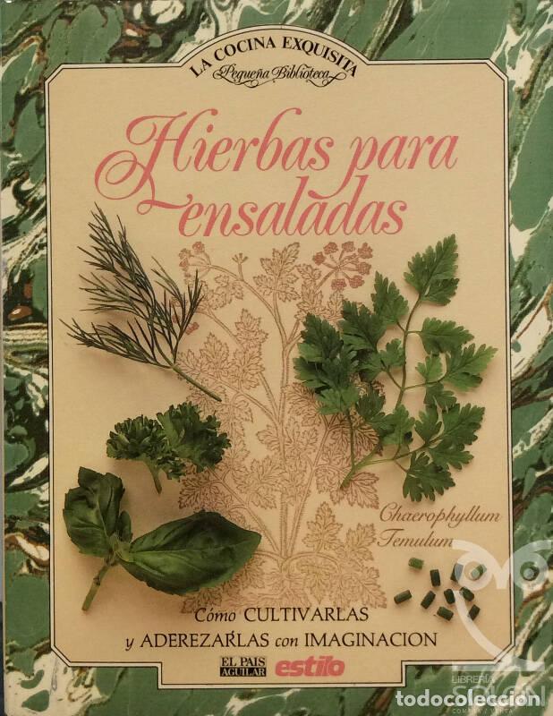 Libros: Hierbas para ensalada - Jill Norman - Foto 1