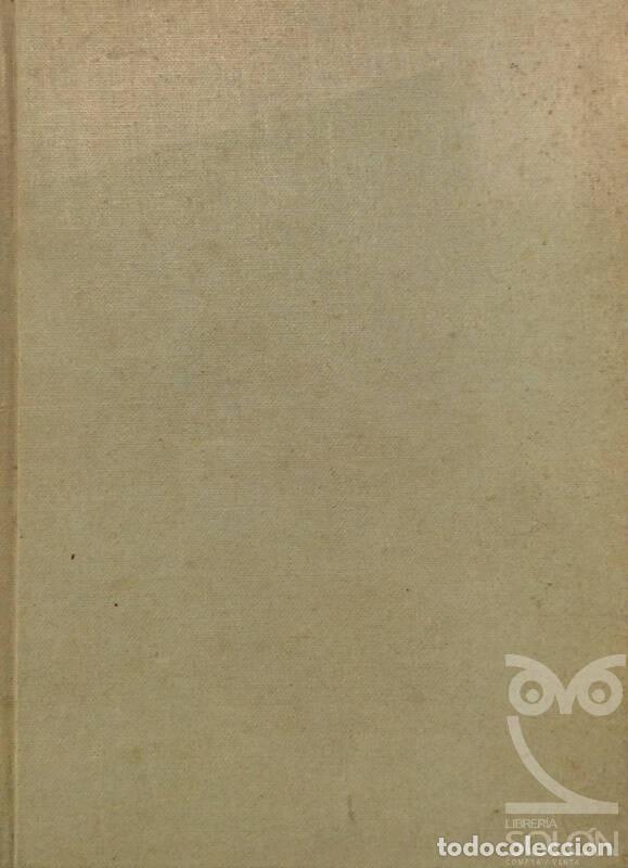 Libros: Vasco Nu&ntilde;ez de Balboa - Jos&eacute; Scofet - Foto 1