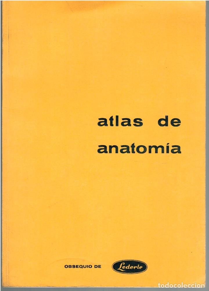 Libros: ATLAS DE ANATOM&Iacute;A - VV.AA. - Foto 2