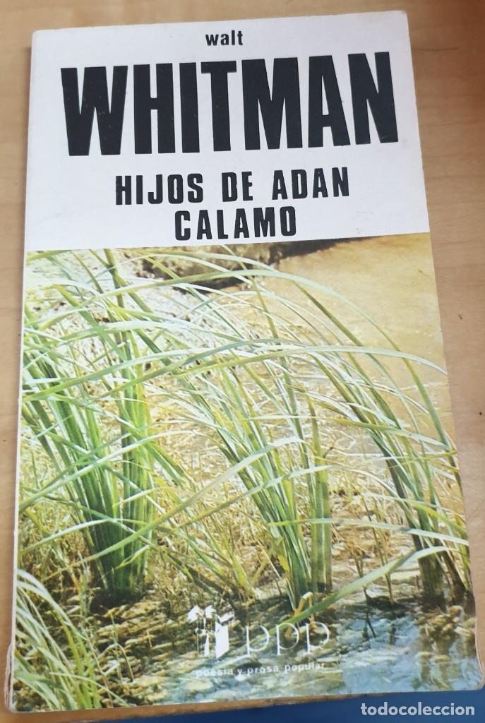 Libros: &rdquo;Hijos de Ad&aacute;n. C&aacute;lamo&rdquo; - &rdquo;WHITMAN, WALT&rdquo; - Foto 1