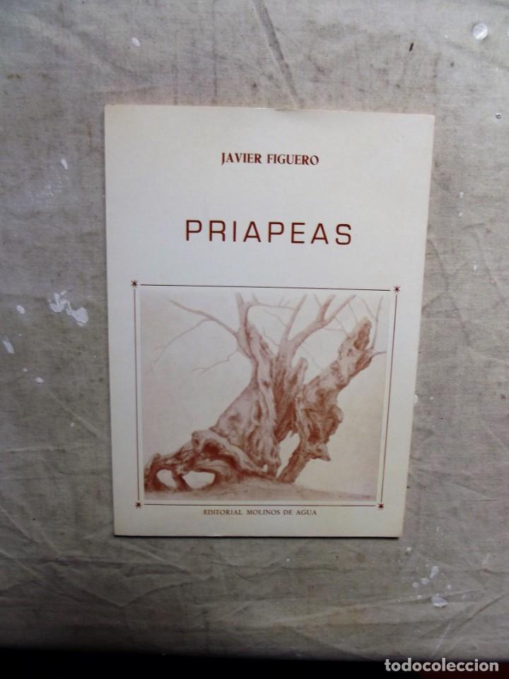 Libros: PRIAPEAS DE JAVIER FIGUERO - Foto 1