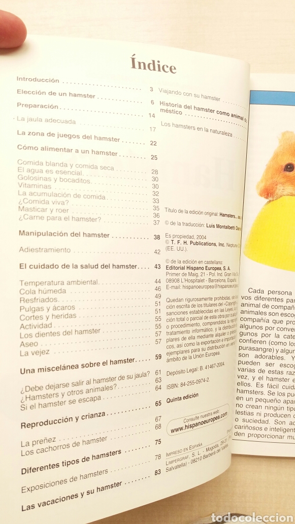 Libros: Hamsters. Grey Ovechka. Hispano Europea, 2004. - Foto 4