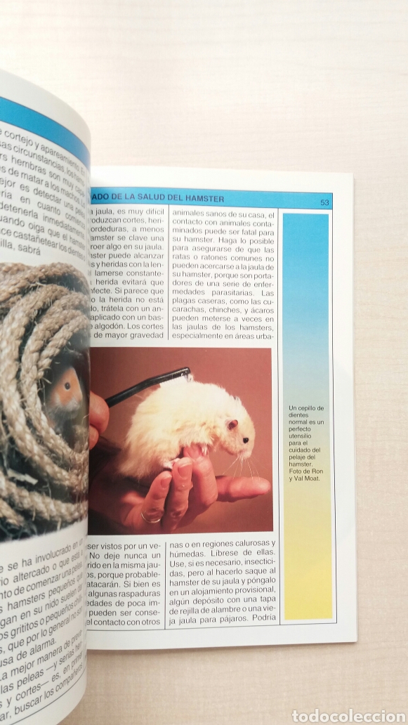 Libros: Hamsters. Grey Ovechka. Hispano Europea, 2004. - Foto 5