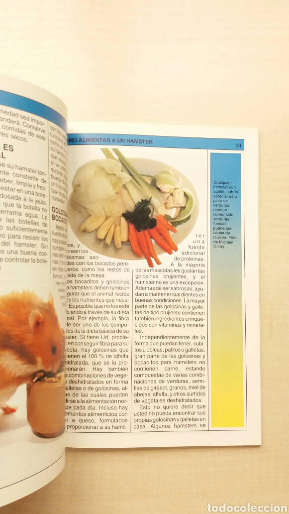 Libros: Hamsters. Grey Ovechka. Hispano Europea, 2004. - Foto 6
