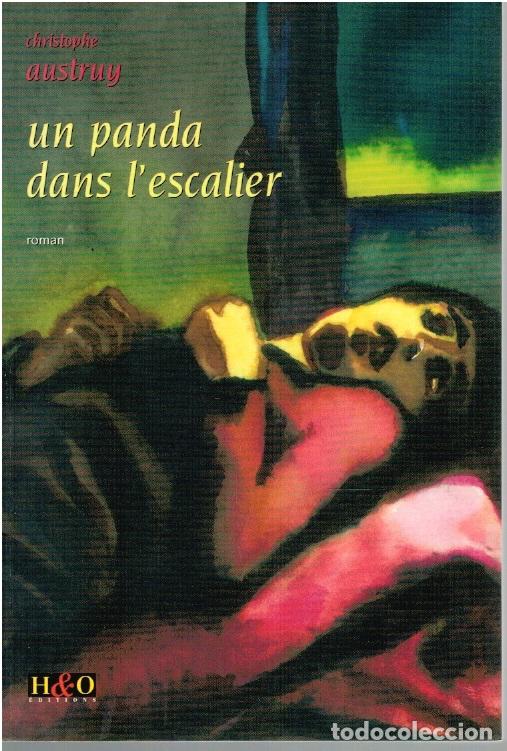 Libros: UN PANDA DANS LESCALIER - Christophe Austruy - Foto 1