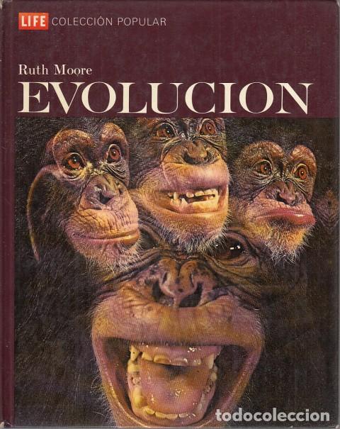 Libros: EVOLUCI&Oacute;N - MOORE, RUTH - Foto 1