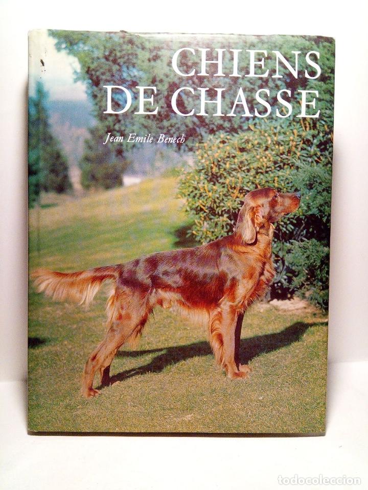 Libros: BENECH, Jean Emile - Chiens de Chasse - Foto 1
