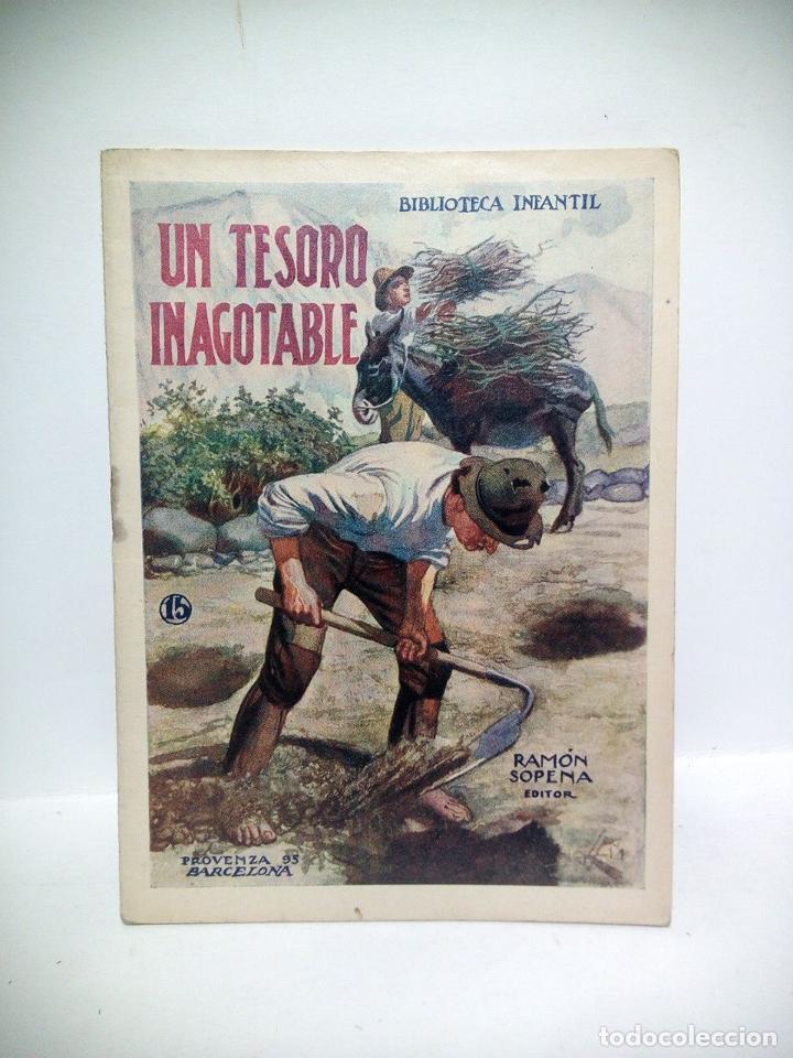 Libros: BIBLIOTECA INFANTIL. N&ordm; 015 - Un tesoro inagotable - Foto 1