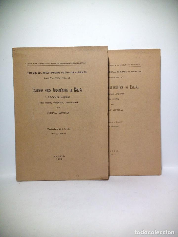 Libri di seconda mano: CEBALLOS, Gonzalo - Estudios sobre Icneum&oacute;nidos de Espa&ntilde;a. I.: Subfamilia Joppinae (Tribus Joppini,