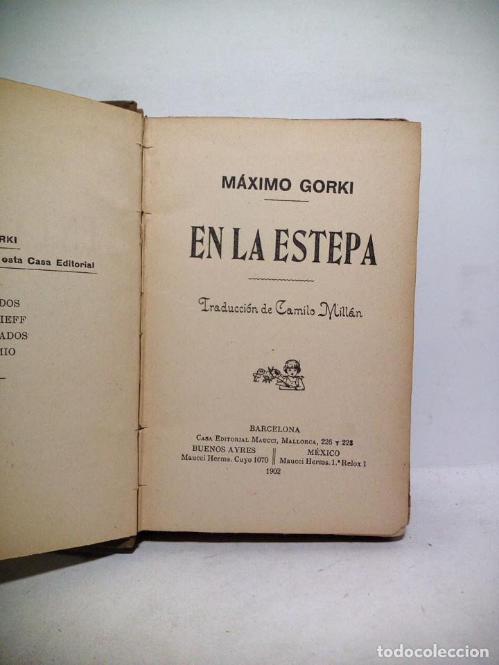 Libros: GORKI, M&aacute;ximo - En la Estepa / Traducci&oacute;n de Camilo Mill&aacute;n - Foto 1