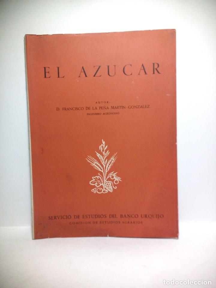Libros: PE&Ntilde;A MARTIN-GONZALEZ, Francisco de la - El Azucar - Foto 1