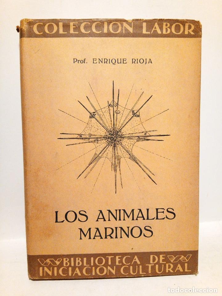 Libros: RIOJA, Enrique - Los animales marinos - Foto 1