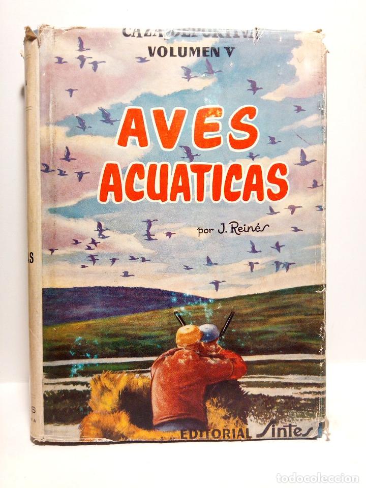 Libros: REINES DAURA, Jaime - Aves acu&aacute;ticas - Foto 1