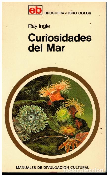 Libros: CURIOSIDADES DEL MAR. - Foto 1