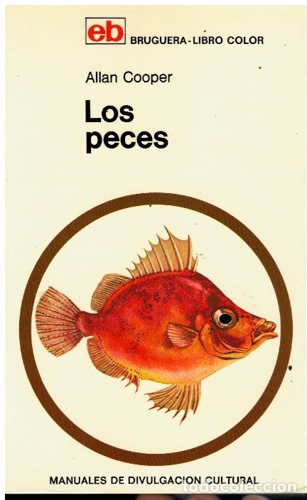 Libros: LOS PECES. Ilustrado por Will Nickless, George Thompson y John Smith. - Foto 1