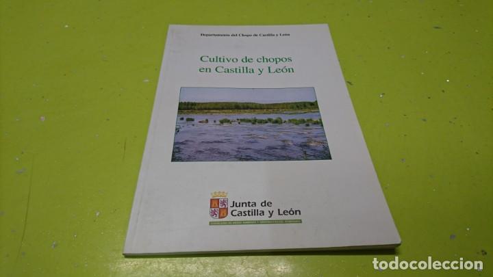 Libros: CULTIVO DE CHOPOS EN CASTILLA Y LE&Oacute;N, JUNTA DE CASTILLA Y LE&Oacute;N - Foto 1