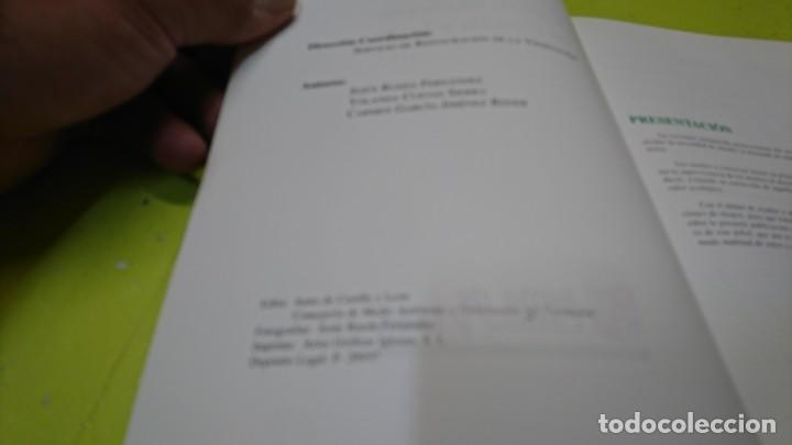 Libros: CULTIVO DE CHOPOS EN CASTILLA Y LE&Oacute;N, JUNTA DE CASTILLA Y LE&Oacute;N - Foto 2