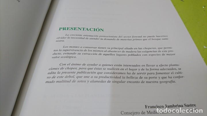 Libros: CULTIVO DE CHOPOS EN CASTILLA Y LE&Oacute;N, JUNTA DE CASTILLA Y LE&Oacute;N - Foto 3