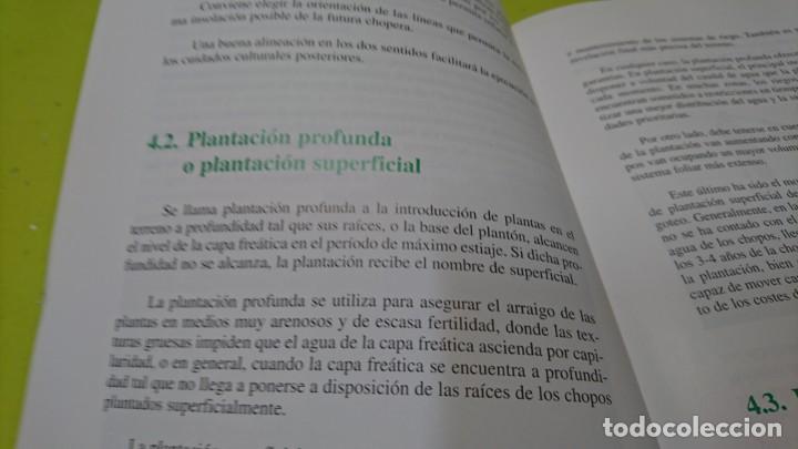 Libros: CULTIVO DE CHOPOS EN CASTILLA Y LE&Oacute;N, JUNTA DE CASTILLA Y LE&Oacute;N - Foto 4