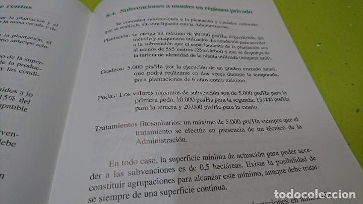 Libros: CULTIVO DE CHOPOS EN CASTILLA Y LE&Oacute;N, JUNTA DE CASTILLA Y LE&Oacute;N - Foto 5